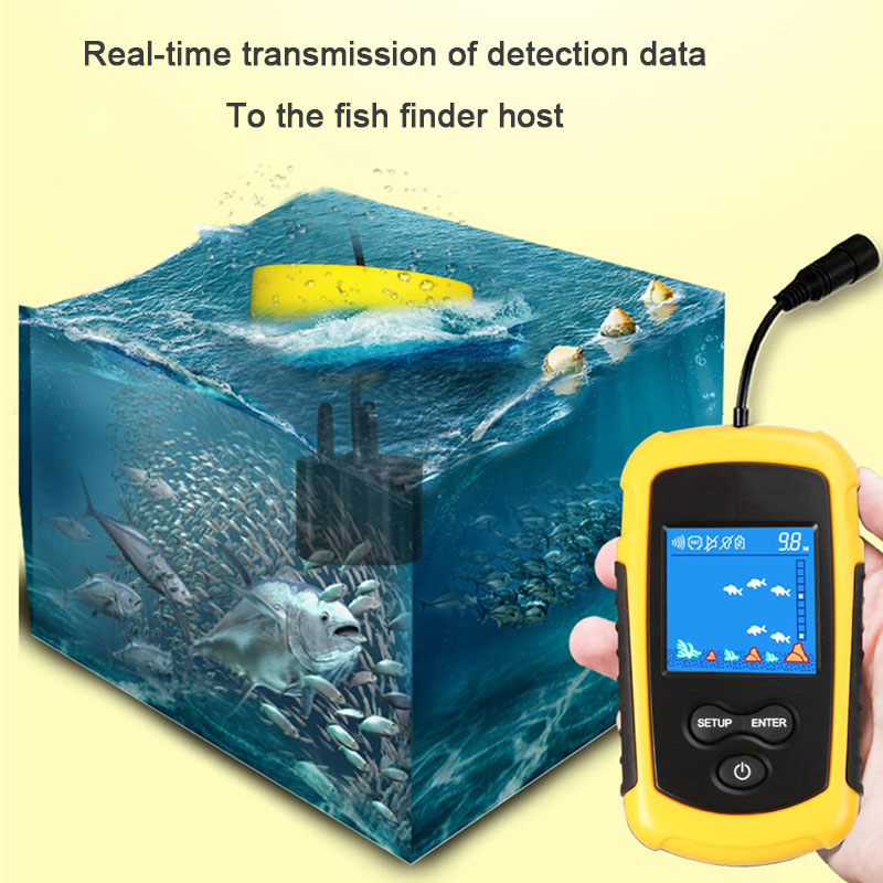 Fish Finder Portable - Sonar Portable avec écran couleur filaire