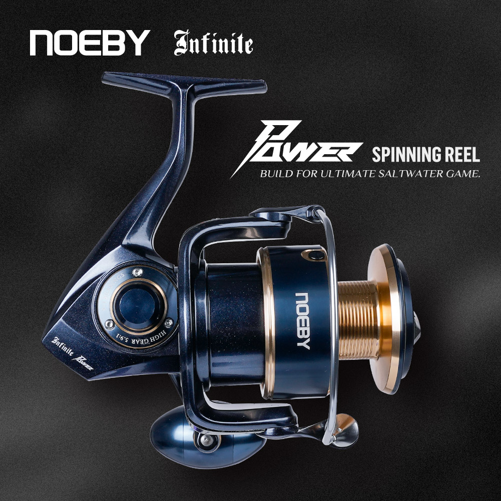 Moulinet de pêche spinning Noe - Daiwa Reel Bg avis et prix